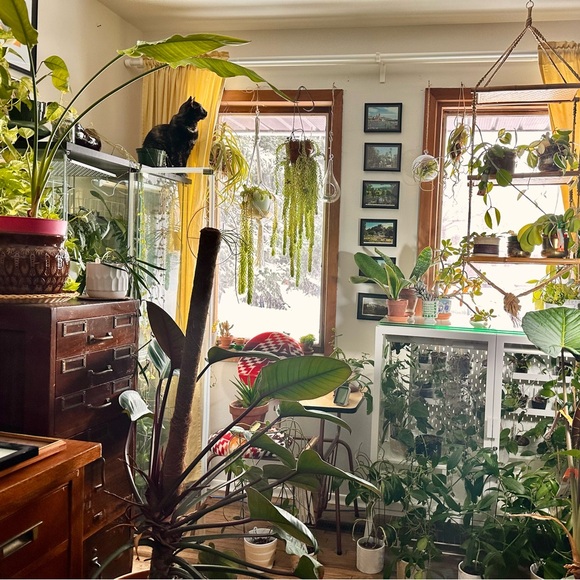 Meet your Posher, Kaitlin - Picture 1 of 1